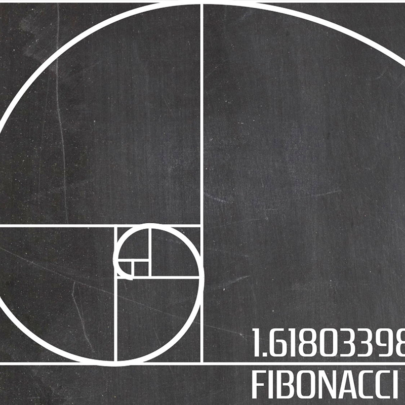 Fibonacci Spiral-Patent-Wandku – Interior Design Studio Bewertung und Preis